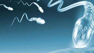 北京第三代试管婴儿费用是多少？费用构成与影响因素分析