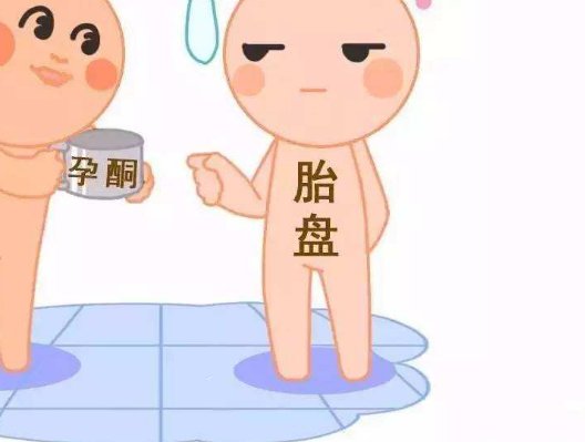 泰国试管比较好的医院排名榜最新，泰国试管医院排名榜最新