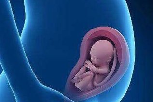 罗氏易位生出的孩子会是什么情况？能做试管吗？